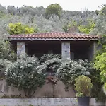 Ananda In Nies Vilă