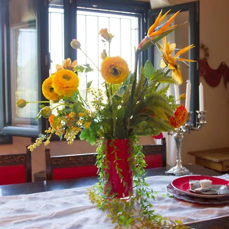 Ananda In Nies Willa