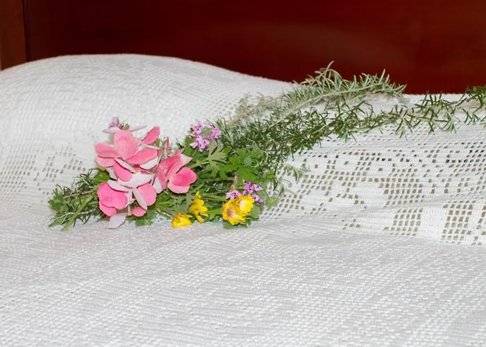 Ananda In Nies Villa *