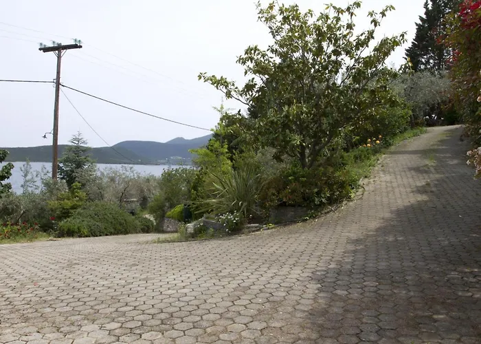 Ananda In Nies Sourpi