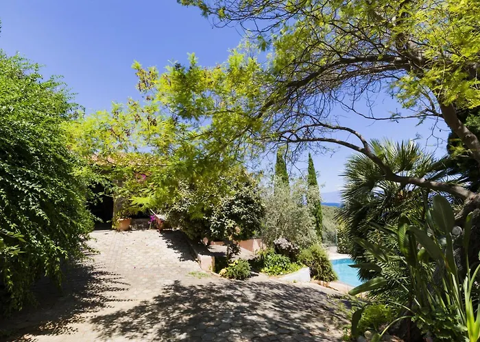 Ananda In Nies * Sourpi